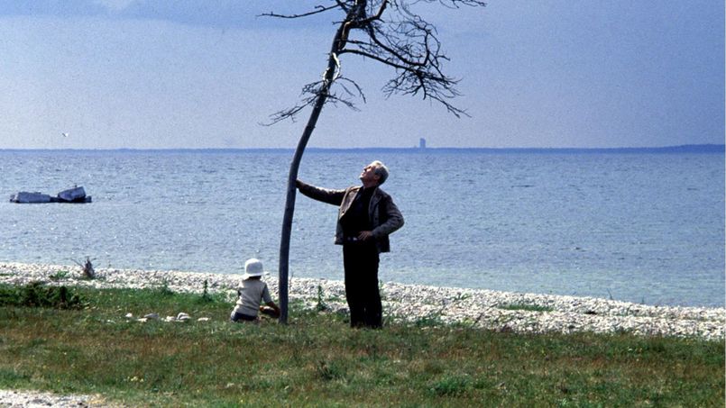 Illustration Andreï Tarkovski : un cinéaste organique et végétal Illustration Andreï Tarkovski : un cinéaste organique et végétal