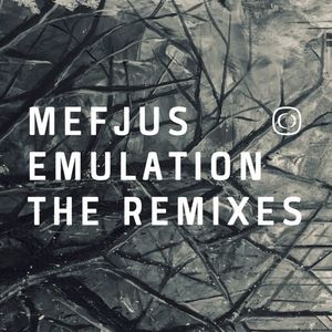 Emulation – The Remixes