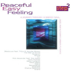 Peaceful Easy Feeling (Playback R&B Mix)