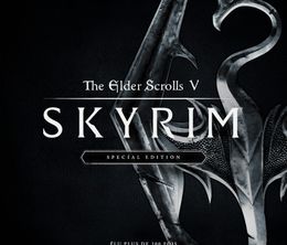 image-https://media.senscritique.com/media/000015868228/0/the_elder_scrolls_v_skyrim_special_edition.jpg