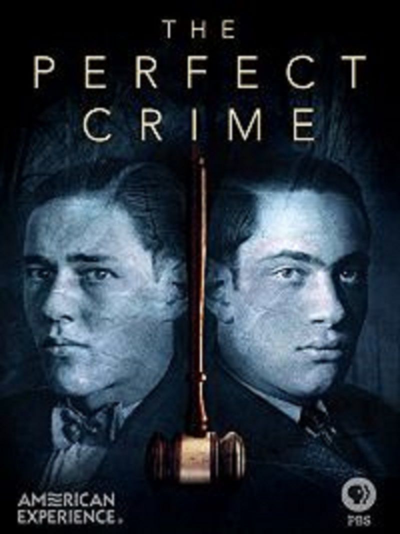 The_Perfect_Crime.jpg