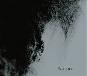 Entropy