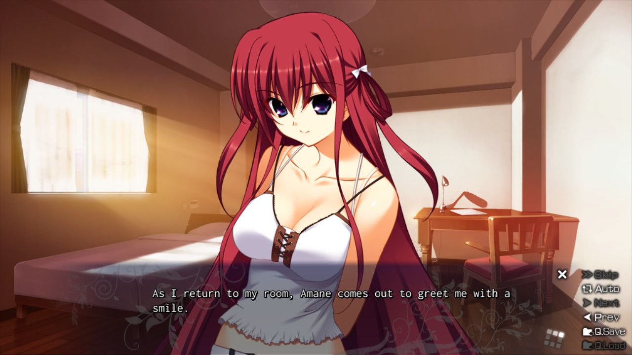 Grisaia no Meikyuu: Le Labyrinthe de la Grisaia Box Shot for PlayStation  Vita - GameFAQs