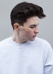 Petit Biscuit