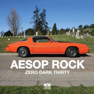 Zero Dark Thirty (Single)