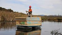 Le nid de la cabane