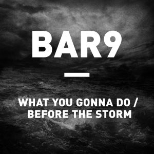 What You Gonna Do / Before the Storm (Single)