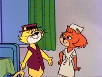 Top Cat Falls in Love