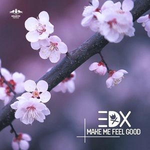 Make Me Feel Good (Single)