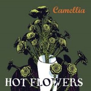 Camellia