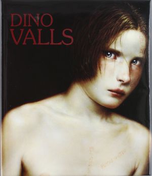 Dino Valls: Ex Picturis