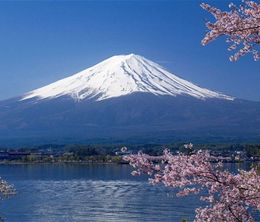 image-https://media.senscritique.com/media/000016126931/0/in_the_shadow_of_fujisan.jpg