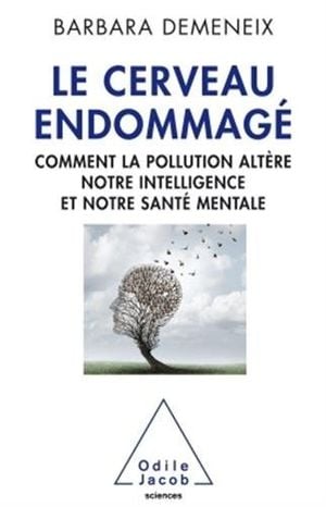 Le Cerveau endommagé