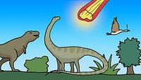 How Many Mass Extinctions Have There Been?