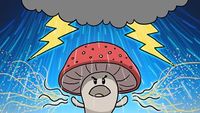 How Mushrooms Make It Rain