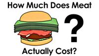 How Much Does Meat Actually Cost?