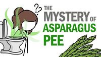 The Mystery Of Asparagus Pee