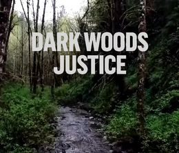 image-https://media.senscritique.com/media/000016131747/0/dark_woods_justice.jpg