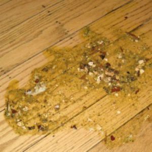 Puke EP (EP)