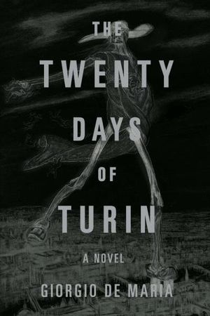 The Twenty Days of Turin: A Novel