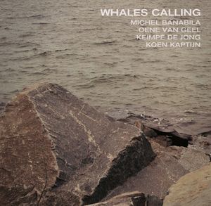 Whales Calling