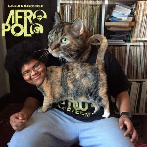 A-F-R-O Polo (EP)