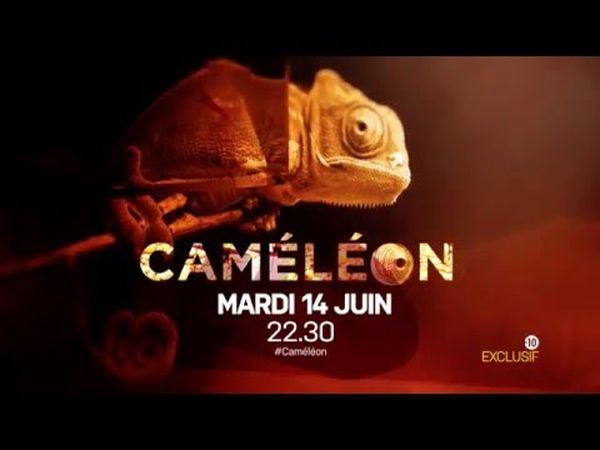 "Caméléon"