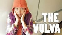 The Vulva - The Vagina's Neighborhood