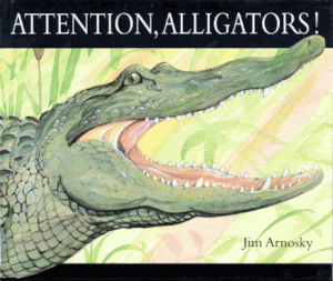 Attention alligators !