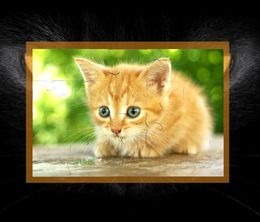 image-https://media.senscritique.com/media/000016177016/0/kitty_cat_jigsaw_puzzles.jpg