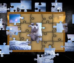 image-https://media.senscritique.com/media/000016177018/0/kitty_cat_jigsaw_puzzles.jpg