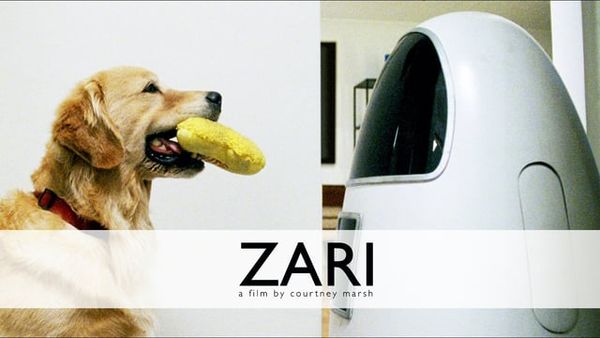 Zari