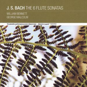 The 6 Flute Sonatas