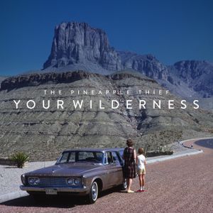 Your Wilderness