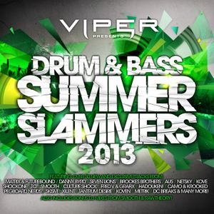 Summer Slammers 2013 (continuous DJ mix)