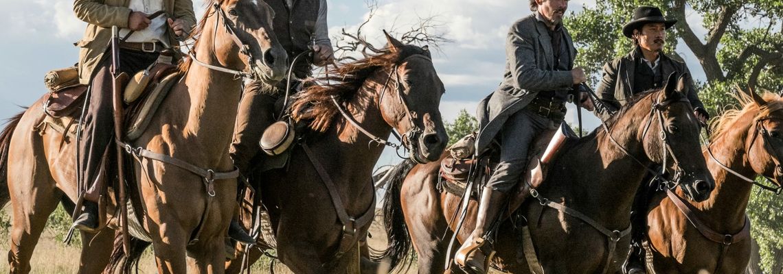 Cover Les Sept Mercenaires