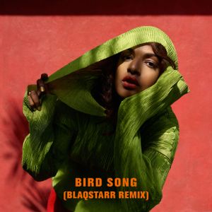 Bird Song (Blaqstarr remix)