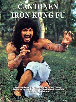 Cantonen Iron Kung fu