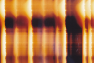 Brief Collapses (EP)