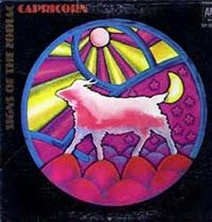 Capricorn - Numbers, Gems and Colors