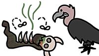 Why Don't Scavengers Get Sick?