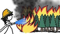 How Fighting Wildfires Makes Them Worse