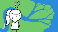 Why Do Rivers Have Deltas?