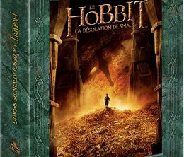 image-https://media.senscritique.com/media/000016258445/0/le_hobbit_appendices_9_et_10.jpg