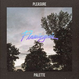 Pleasure Palette