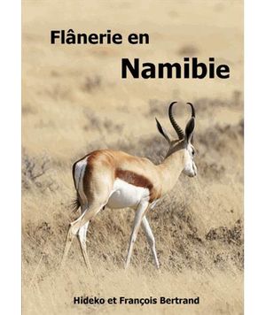 Flânerie en Namibie