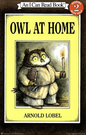 Owl at Home