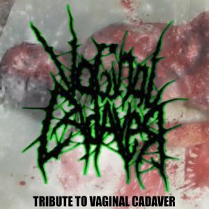 Tribute to Vaginal Cadaver