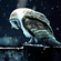 Avatar Dawnmist Avatar Dawnmist