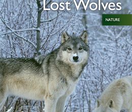 image-https://media.senscritique.com/media/000016281728/0/land_of_the_lost_wolves.jpg
